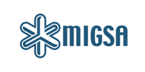 Catalogo Migsa 2025